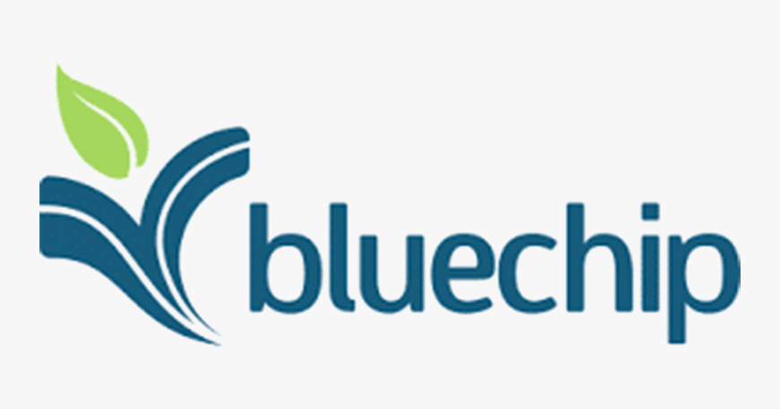 Blue Chip Data Systems logo